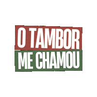 Carnaval 2024 Sticker by Mocidade Alegre