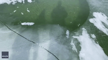 'I Saw a Fishy': Little Girl Spots Speedy Fish in Crystal Clear Frozen Lake