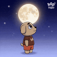 Staring Full Moon GIF by Buddies for Paws