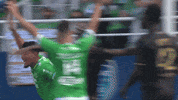 Happy France GIF by AS Saint-Étienne