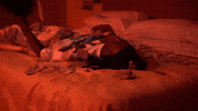 Crashedoncamera GIF by Raq Baby