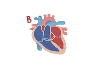 Heart Halloween Sticker by Stacy McAnulty