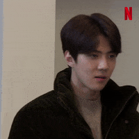 Netflix Bustednetflix GIF by Busted!