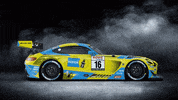 Mercedes-Amg Motorsport GIF by Haupt Racing Team