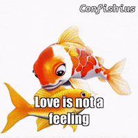 Peace Love GIF by TheConfishius
