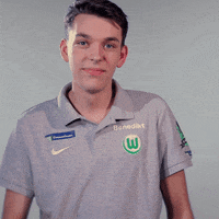 fifa 18 football GIF by VfL Wolfsburg
