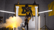 Tigers Missouri GIF by Mizzou Athletics