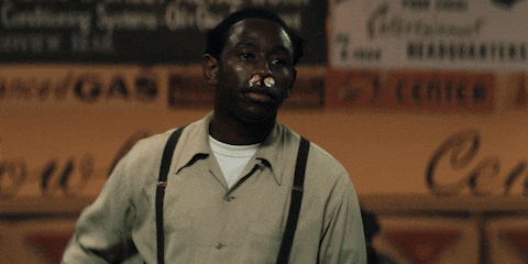 Dream Big Timothee Chalamet GIF by A24