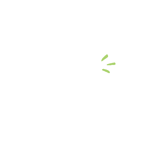 fashion flying Sticker by Tricoci  University