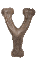 Wishbone Dog Bone Sticker by Benebone