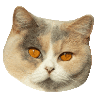 Fat Cat Sticker