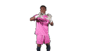 Catch Goalkeeper Sticker by Carson-Newman Athletics