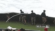 phi GIF by MLB