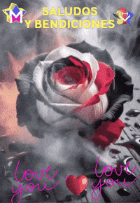 Love You Rosa GIF by Murcianys LLC