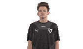 Dexter Mouz Sticker by mousesports