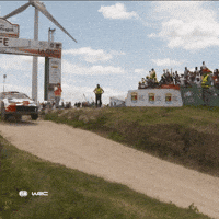 Sport Driving GIF by FIA World Rally Championship