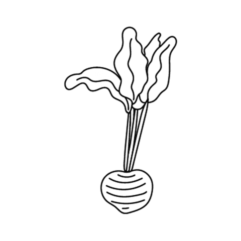Vegetable Onion Sticker by Tundra Snack