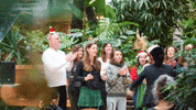 Christmas Noel GIF by morning
