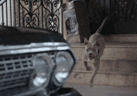 Episode 1 Sport GIF by UFC