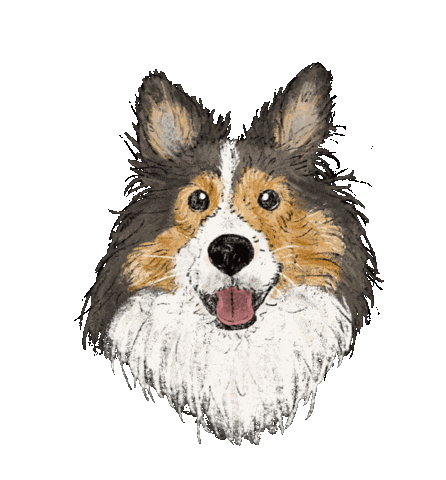 Heart Dog Sticker