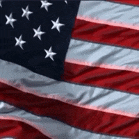 Waving The White Flag GIFs - Find & Share on GIPHY