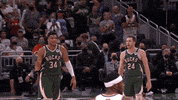 Nba Playoffs Sport GIF by NBA