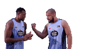 Celebrating Liga Endesa Sticker by ACB