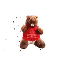 Teddy Bear Love Sticker by UWPACE