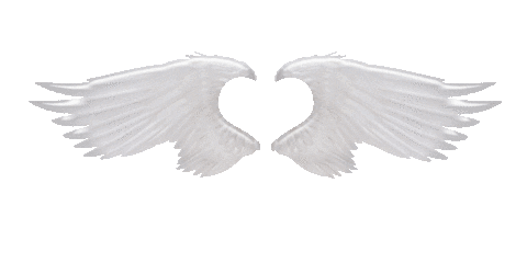Angel Wings Love Sticker