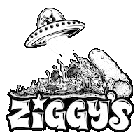 ziggysstardust party trippy pizza alien Sticker