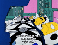 homer simpson GIF