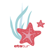 Star Holiday Sticker by Etstur