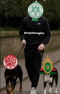 Raja Casablanca GIF