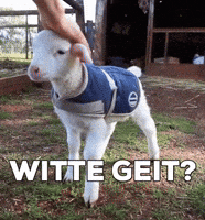 Brabant I Dont Know GIF by BrabantinBeelden