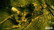 Crime Scene Drama GIF by ION Mystery