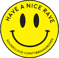 Have A Nice Day House Sticker by TIBBS & BONES