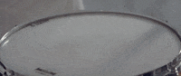 sub pop moaning GIF by Sub Pop Records