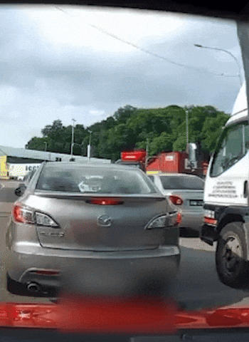 wanxiangsays giphyupload GIF