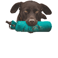 Chocolate Choco Sticker by DER HUND - das Magazin