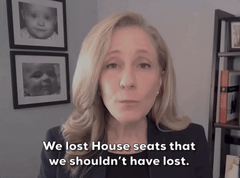 Abigail Spanberger GIF by GIPHY News