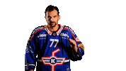 Sport Celebration Sticker by EHC Kloten