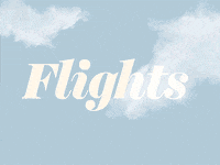 flight GIF