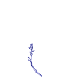 Growing New Music Sticker by ANTI- Records