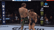 Fight Reaction GIF by MolaTV