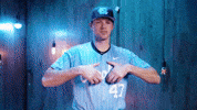 University Of North Carolina Baseball GIF by UNC Tar Heels