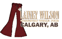 Wild Horses Calgary Sticker by Lainey Wilson