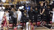 mbb GIF by UCF Knights