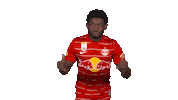 Red Bull Dancing Sticker by FC Red Bull Salzburg