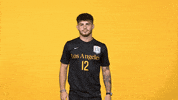 Sport Hello GIF by Cal State LA Golden Eagles
