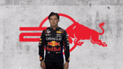 Red Bull Sport GIF by Oracle Red Bull Racing